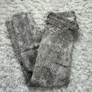 Express Snake Print Jeans